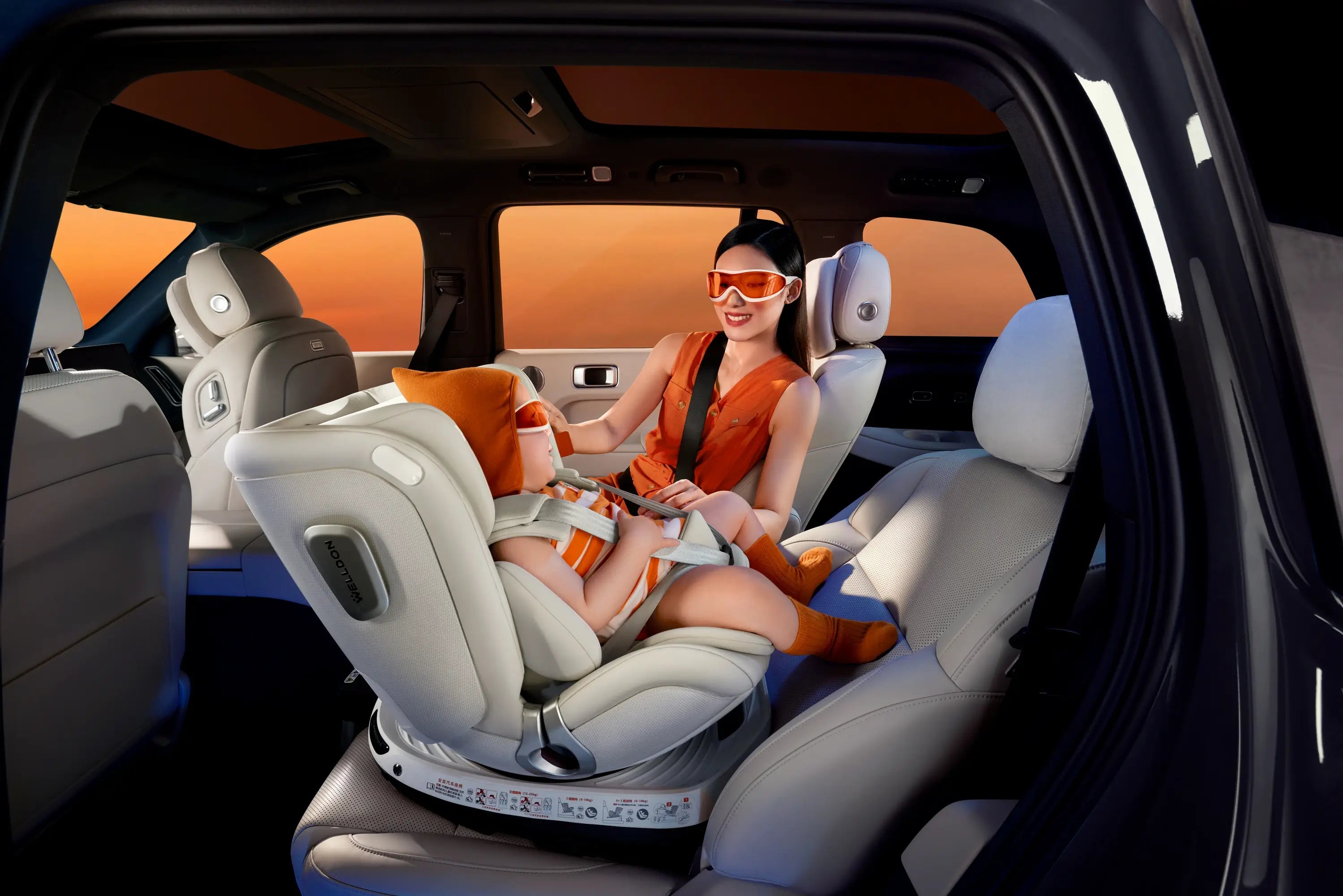 welldon baby car seat product image